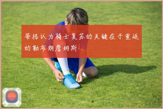 蒂格认为骑士复苏的关键在于重返的勒布朗詹姆斯